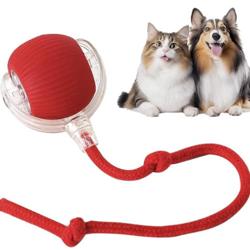 Pelota Interactiva Para Mascotas