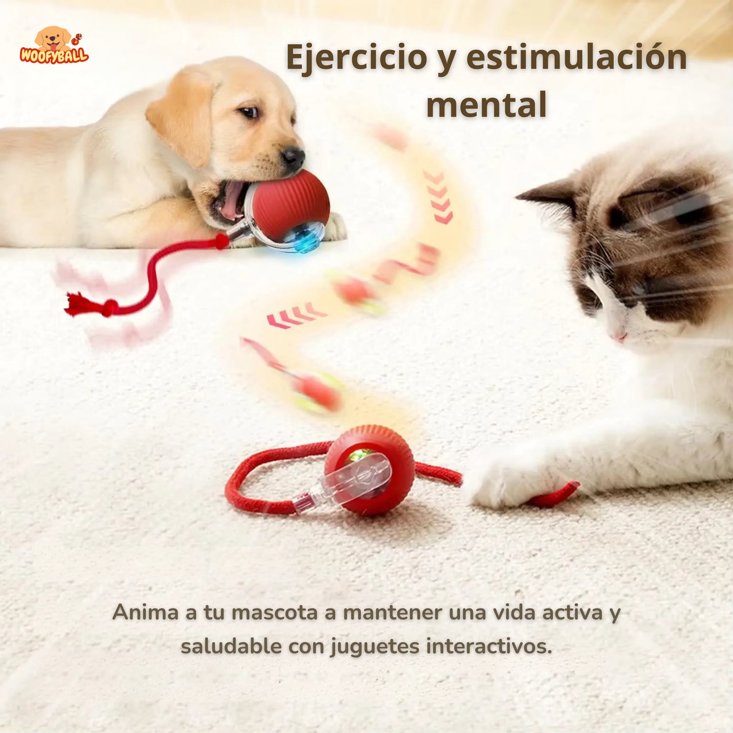 Pelota Interactiva Para Mascotas